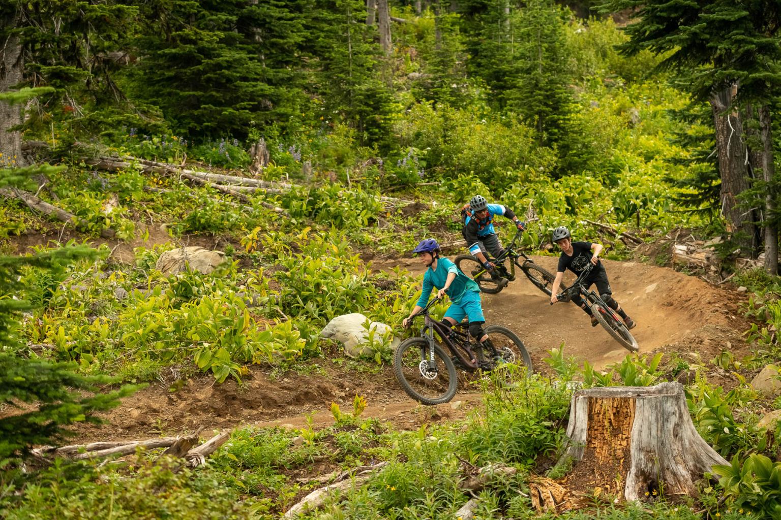 Three bikers riding down a trail with trees and greenery around them