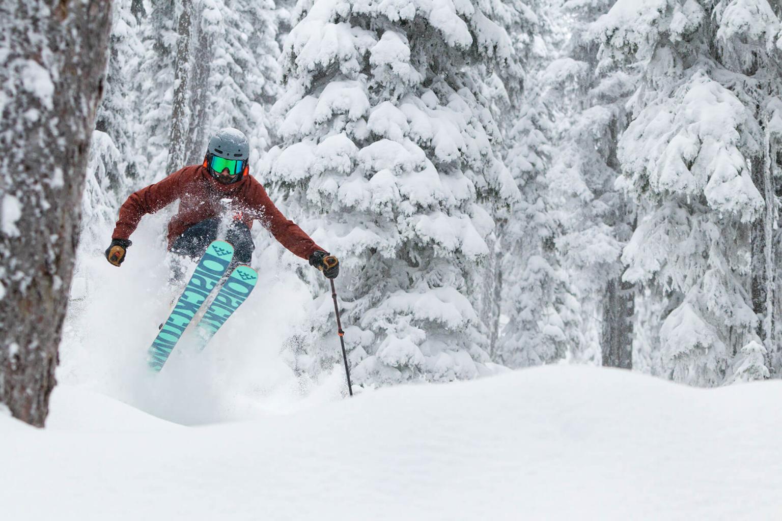 Skier in trees and powder