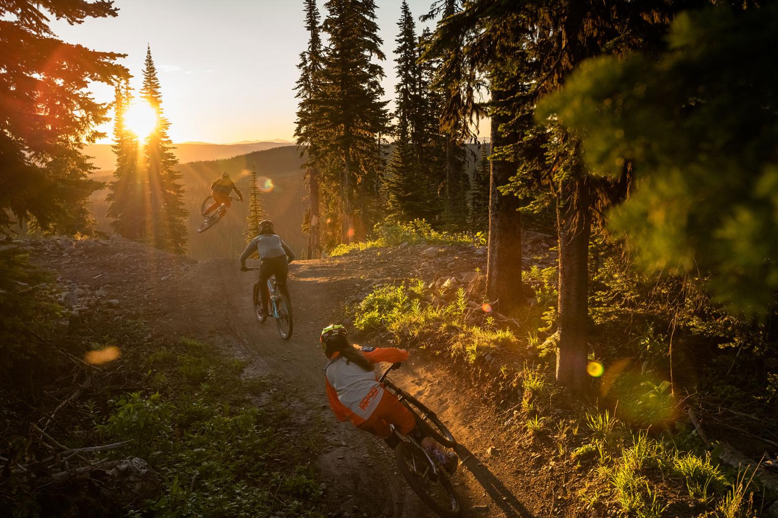 Three bikers on a trail