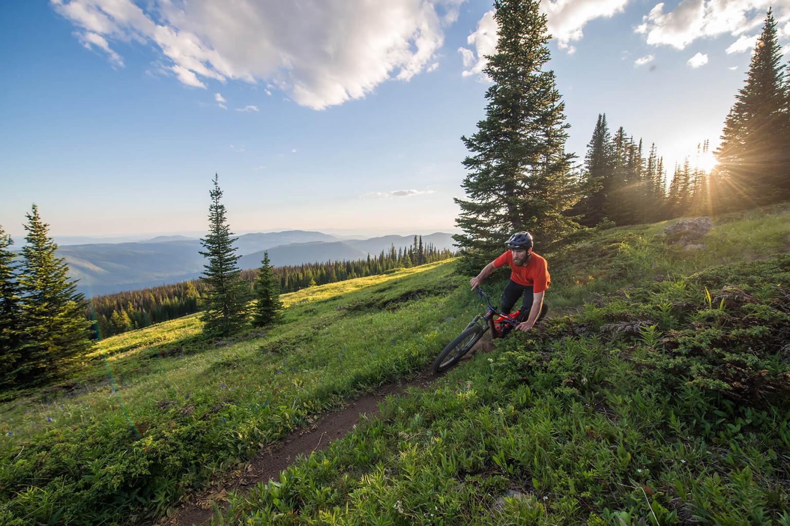 Biking on Altitude trail in Sun Peaks