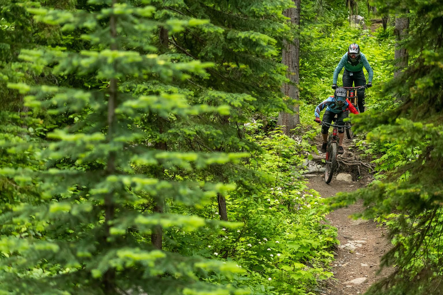 Downhill Bike Park in Sun Peaks