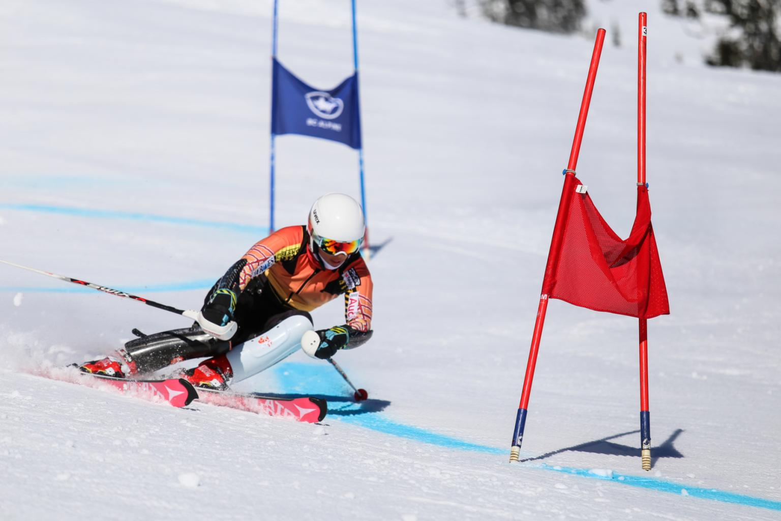 Ski racer skiing through gates on the slopes