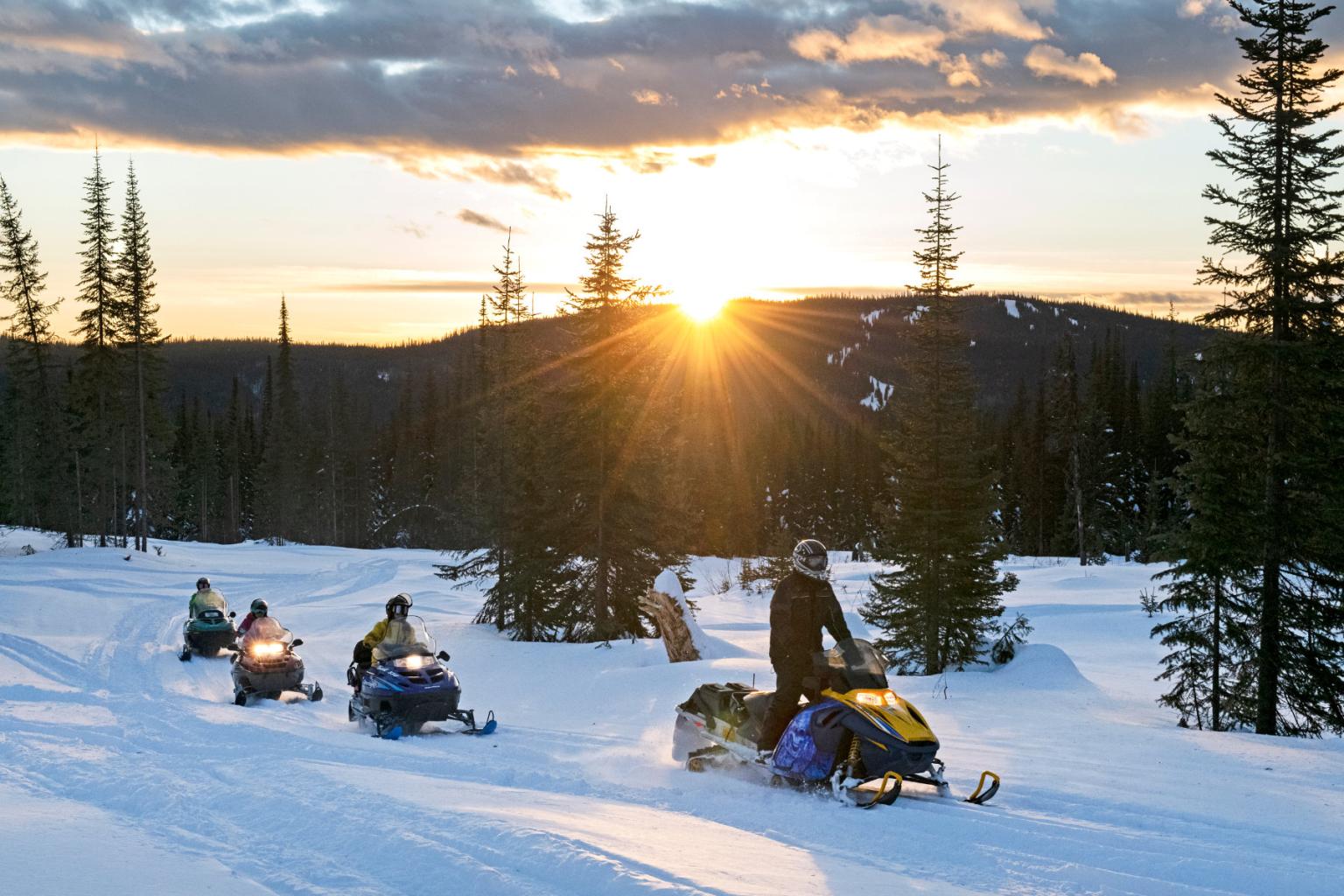 Four people snowmobiling on trails with trees and the sun setting behind them