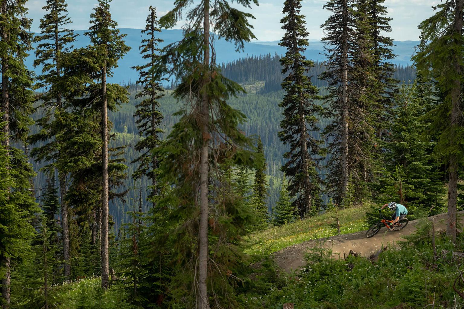 Devinci Demo Experience