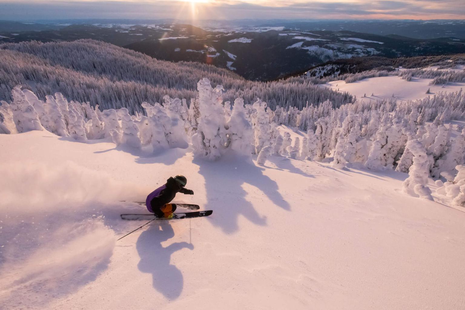 Winter 2020-21 Update 