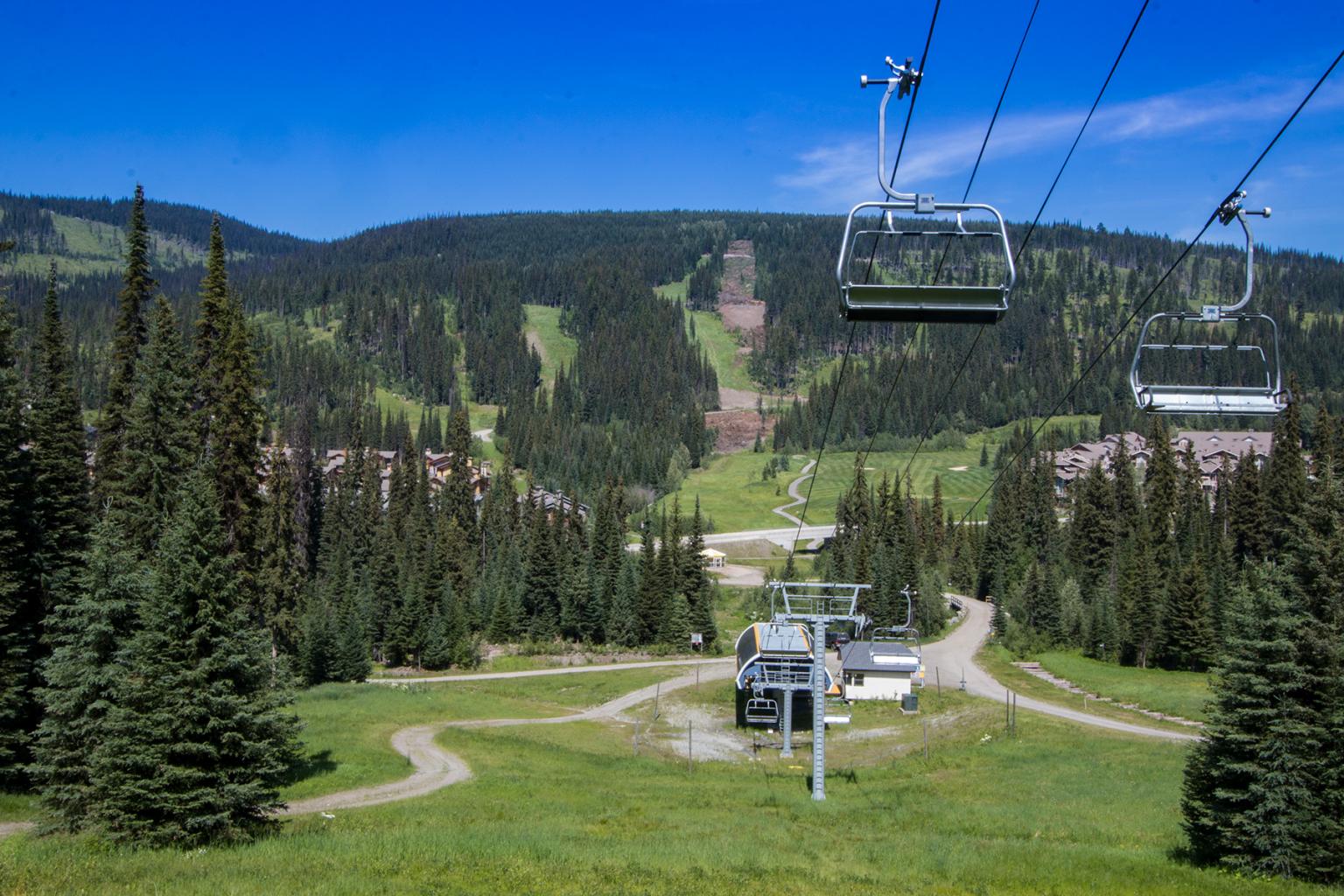 Project Update: New Orient Quad